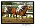 BigBrown_Haskell_2008_102